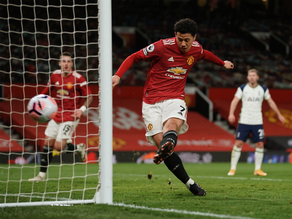 他们引进了 他们引进了